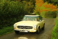 23_Autumn_Leaves_-210
