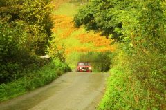 23_Autumn_Leaves_-212