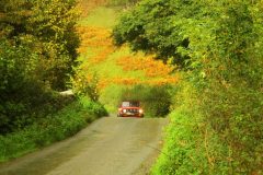 23_Autumn_Leaves_-213