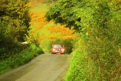 23_Autumn_Leaves_-214