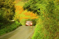 23_Autumn_Leaves_-215
