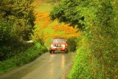 23_Autumn_Leaves_-216