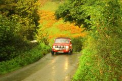 23_Autumn_Leaves_-217