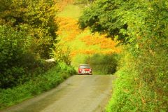 23_Autumn_Leaves_-222