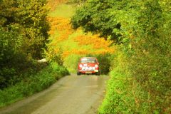 23_Autumn_Leaves_-223