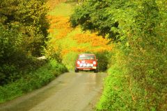 23_Autumn_Leaves_-224