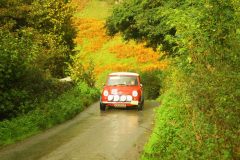 23_Autumn_Leaves_-225