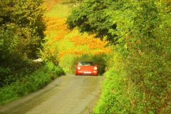 23_Autumn_Leaves_-230