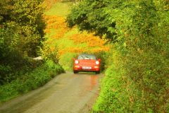23_Autumn_Leaves_-231