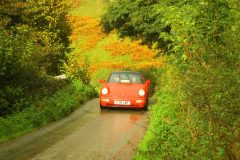 23_Autumn_Leaves_-232