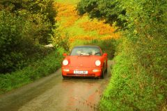 23_Autumn_Leaves_-233