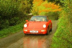 23_Autumn_Leaves_-234