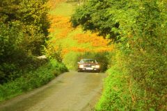 23_Autumn_Leaves_-236