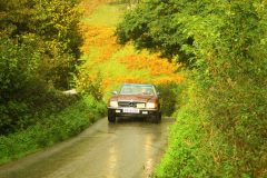 23_Autumn_Leaves_-238