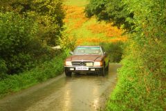 23_Autumn_Leaves_-239