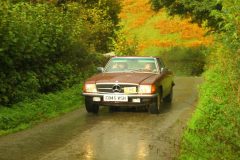 23_Autumn_Leaves_-240