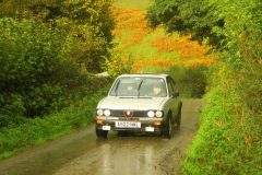 23_Autumn_Leaves_-247