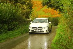 23_Autumn_Leaves_-250