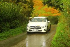 23_Autumn_Leaves_-251