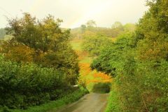 23_Autumn_Leaves_-258