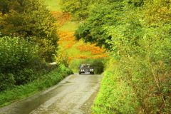 23_Autumn_Leaves_-260