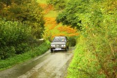 23_Autumn_Leaves_-262