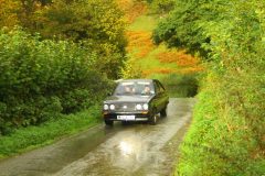 23_Autumn_Leaves_-263