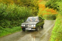 23_Autumn_Leaves_-264