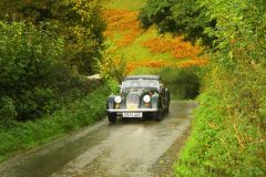 23_Autumn_Leaves_-269