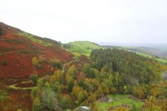 23_Autumn_Leaves-003