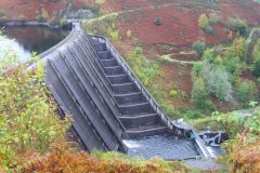 23_Autumn_Leaves-004