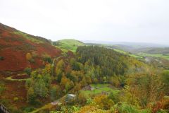 23_Autumn_Leaves-009