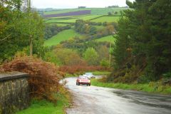 23_Autumn_Leaves-012