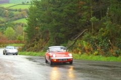 23_Autumn_Leaves-016