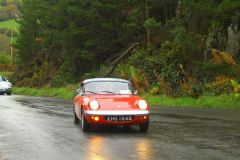 23_Autumn_Leaves-018