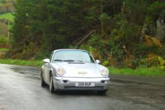 23_Autumn_Leaves-023