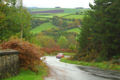 23_Autumn_Leaves-025