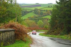 23_Autumn_Leaves-026