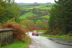 23_Autumn_Leaves-028