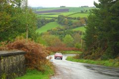 23_Autumn_Leaves-039