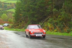 23_Autumn_Leaves-044