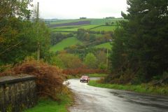 23_Autumn_Leaves-049