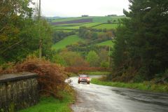 23_Autumn_Leaves-050