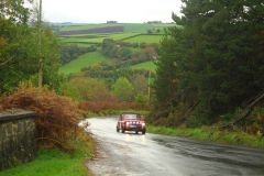 23_Autumn_Leaves-051