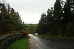 23_Autumn_Leaves-059