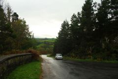 23_Autumn_Leaves-060