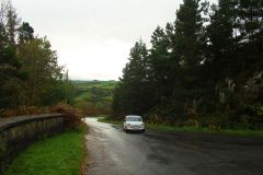 23_Autumn_Leaves-061