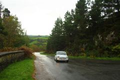 23_Autumn_Leaves-062