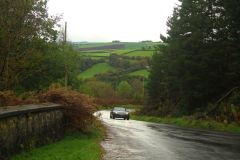 23_Autumn_Leaves-064