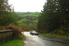 23_Autumn_Leaves-065